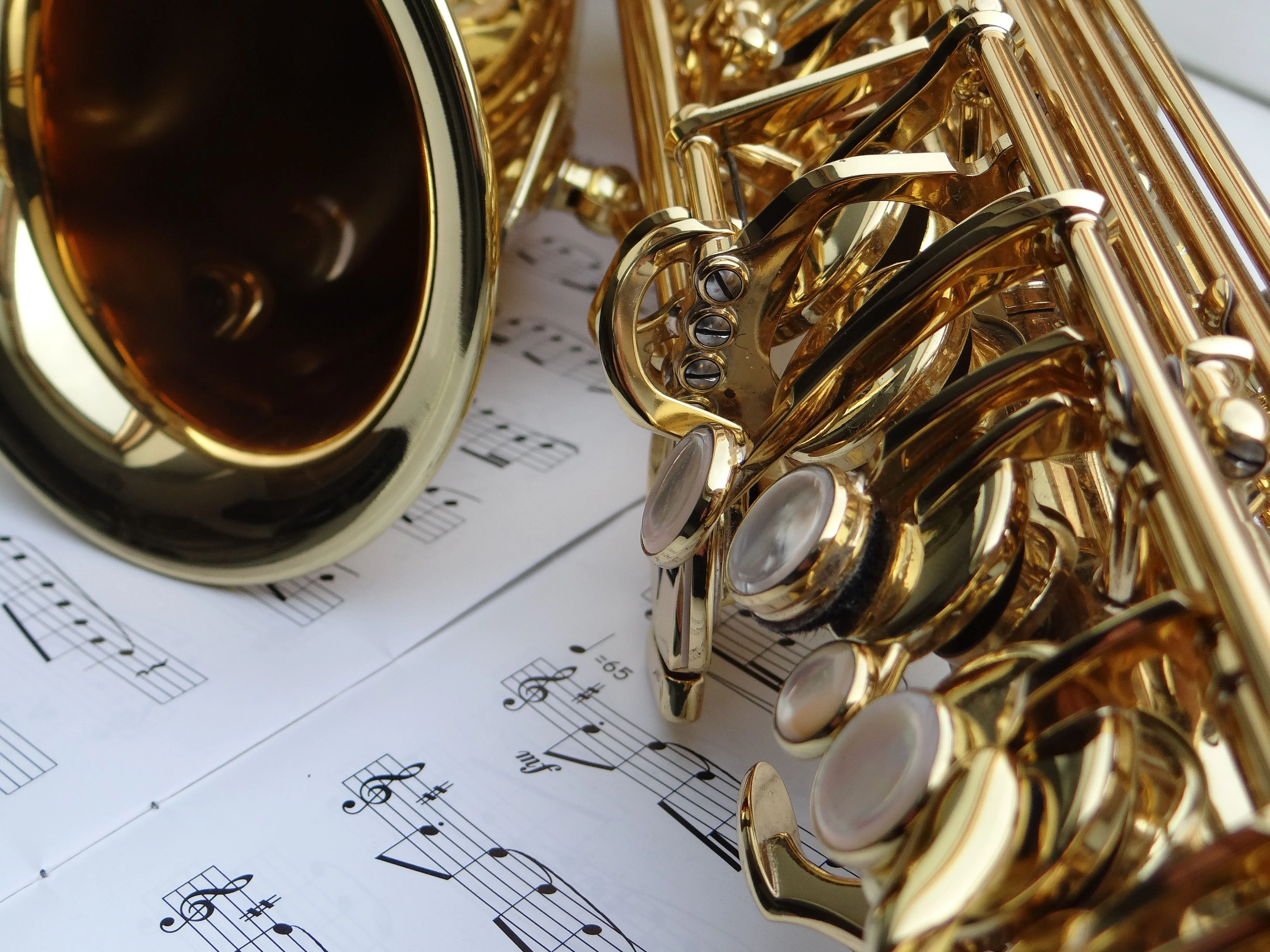 Trumpet player performing live jazz